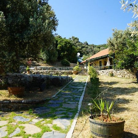 Elpida Country House -Paleochora-Anidri Exterior photo